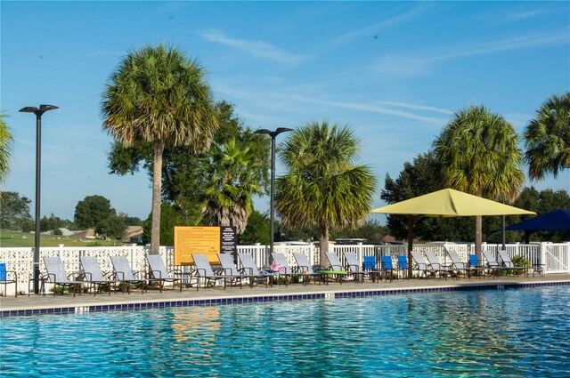 view of pool featuring a patio