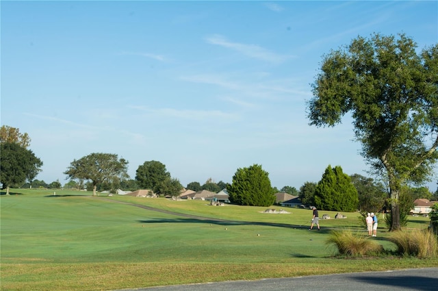 view of community with a yard