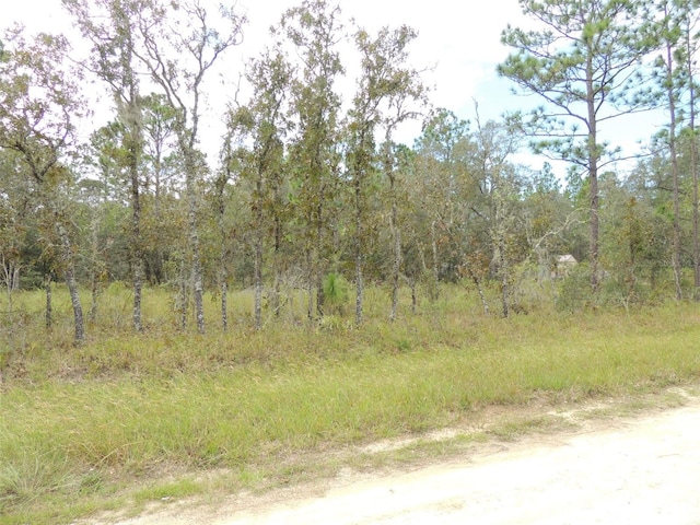 690 NE 135th Ct, Williston FL, 32696 land for sale