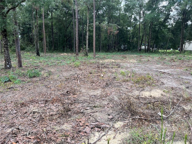 16340 SW 55th, Ocala FL, 34481 land for sale