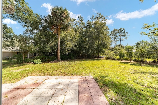 view of yard featuring a patio area