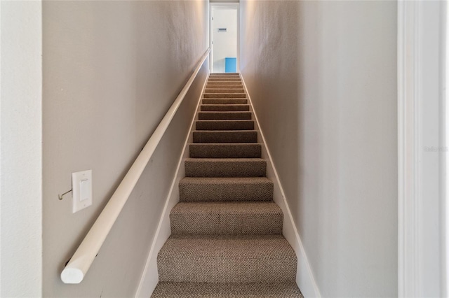 staircase featuring carpet flooring