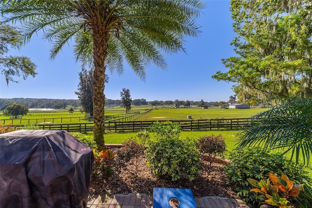 view of yard with a rural view