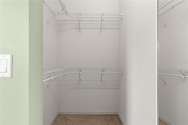 walk in closet with carpet floors