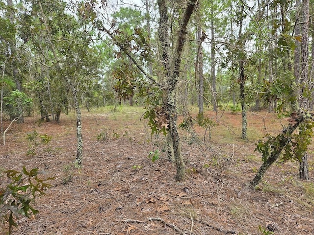 SW Mango Ln, Dunnellon FL, 34432 land for sale