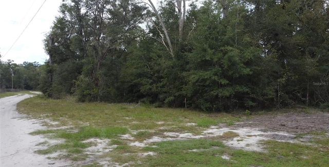 0 TBD NE 127th Pl, Bronson FL, 32621 land for sale