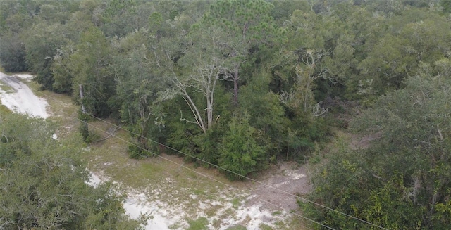 Listing photo 2 for 0 TBD NE 127th Pl, Bronson FL 32621