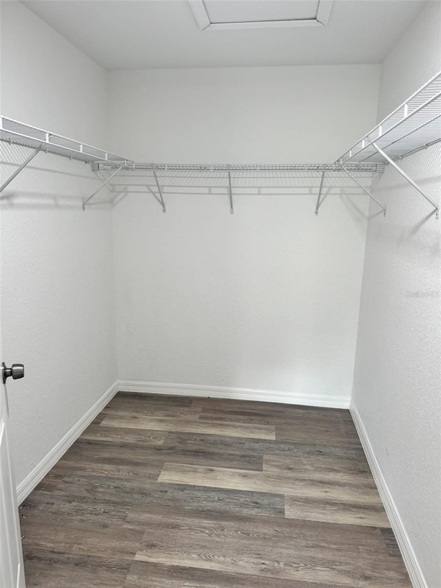 spacious closet with dark hardwood / wood-style flooring