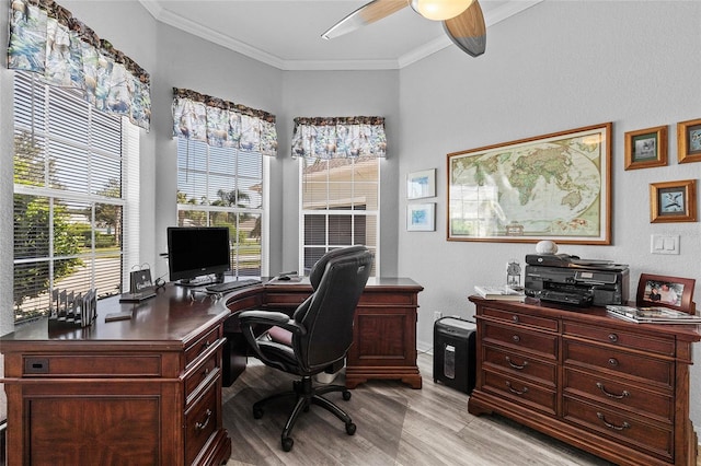 home office with light hardwood / wood-style floors, crown molding, and ceiling fan