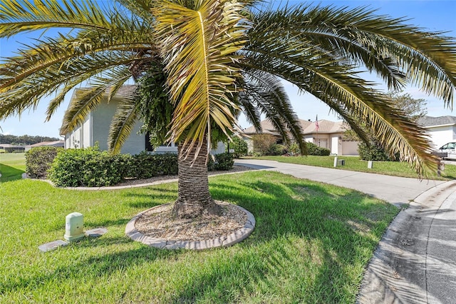 exterior space featuring a lawn