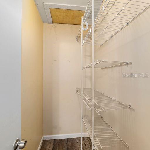 walk in closet with hardwood / wood-style floors