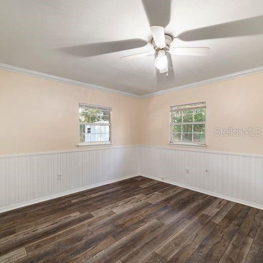 spare room featuring a wealth of natural light, ceiling fan, and dark hardwood / wood-style flooring