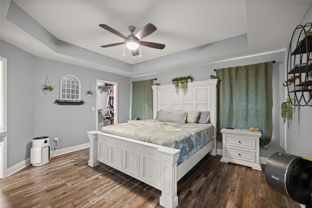 bedroom with ceiling fan, a closet, dark hardwood / wood-style floors, a tray ceiling, and a spacious closet