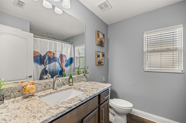 bathroom with wood-type flooring, vanity, and toilet