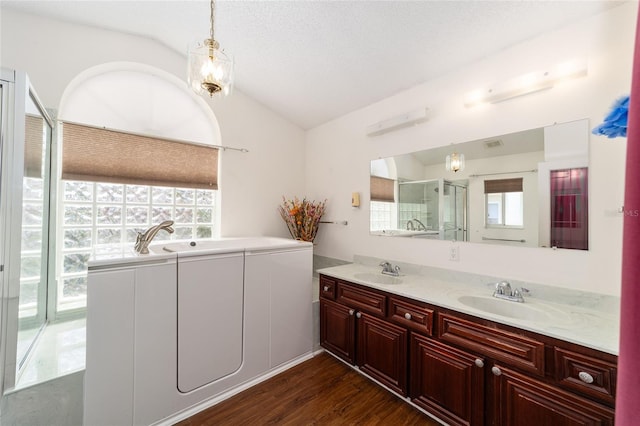 bathroom with vaulted ceiling, hardwood / wood-style floors, vanity, and a wealth of natural light