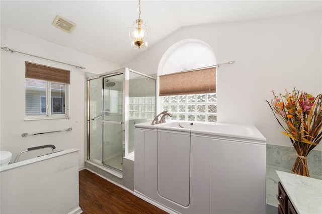 full bathroom featuring vaulted ceiling, vanity, plus walk in shower, and a wealth of natural light