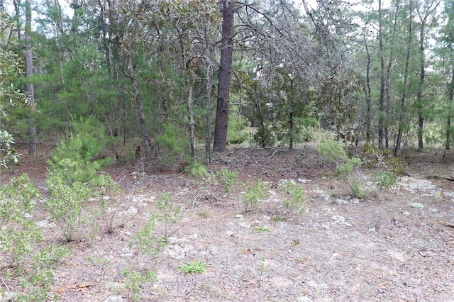 9657 N Timber Creek Ter, Dunnellon FL, 34433 land for sale