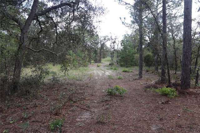 Listing photo 3 for 9657 N Timber Creek Ter, Dunnellon FL 34433