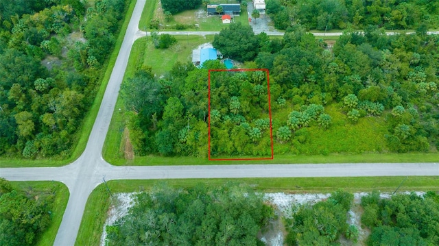 702 Paradise Blvd, Georgetown FL, 32139 land for sale