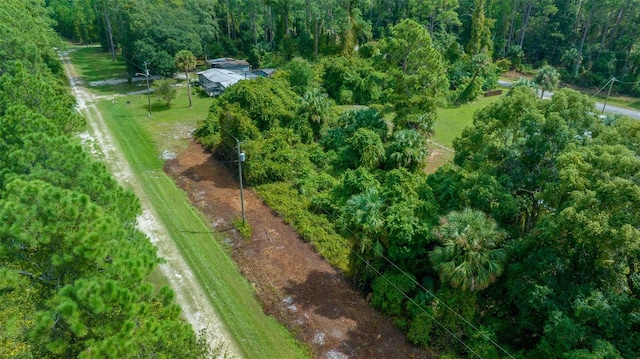 327 Birch Blvd, Georgetown FL, 32139 land for sale