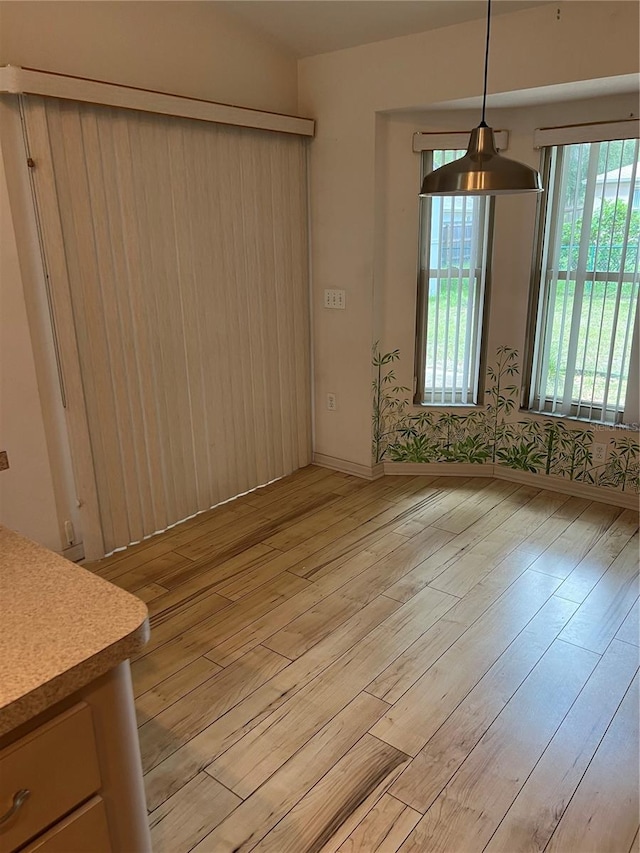 unfurnished dining area featuring light hardwood / wood-style flooring