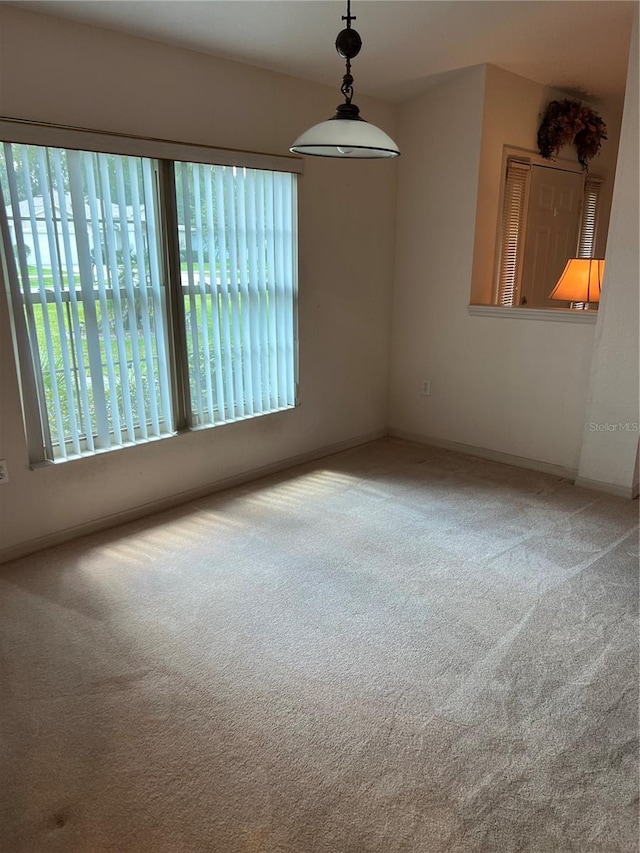 empty room featuring carpet floors and plenty of natural light