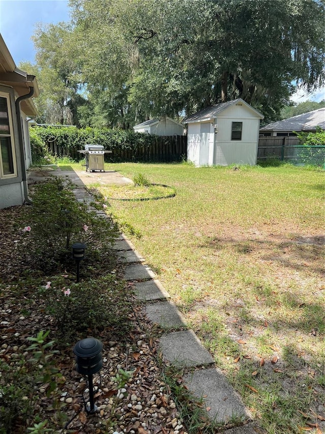 view of yard with a storage shed