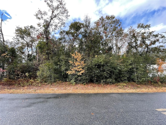 Listing photo 2 for LOT37 SE 92nd Ter, Summerfield FL 34491