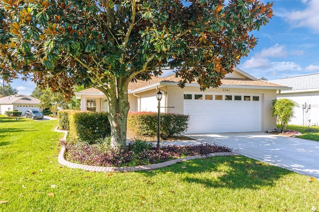 view of property hidden behind natural elements with a front lawn