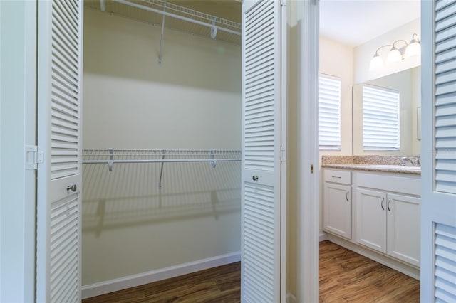 closet with sink