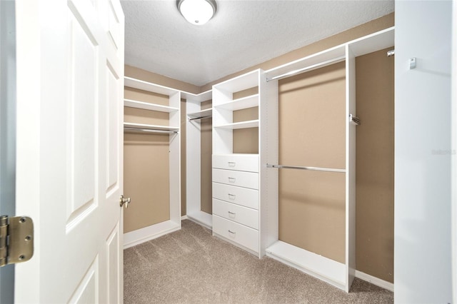 spacious closet with light colored carpet