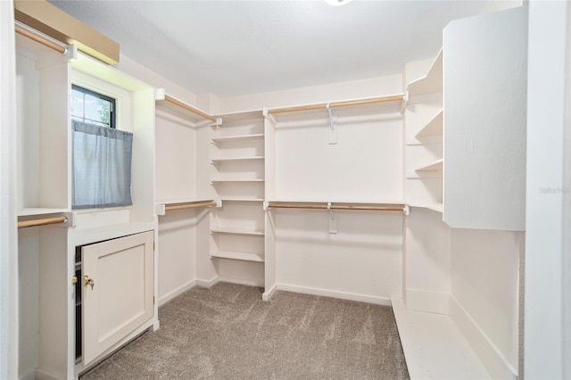 walk in closet featuring light carpet