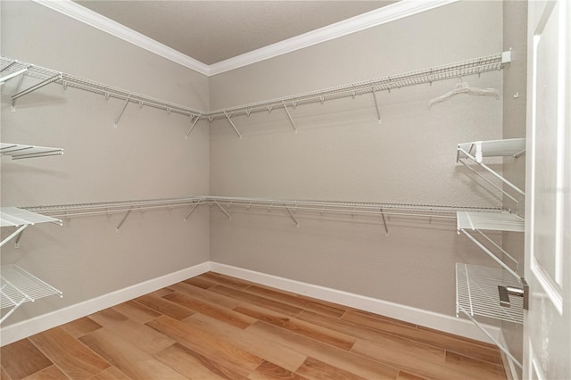 walk in closet featuring wood-type flooring