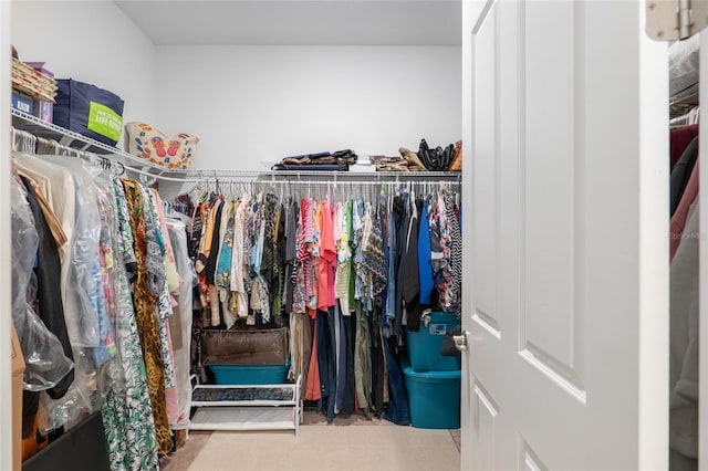 spacious closet with carpet