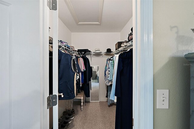 view of walk in closet