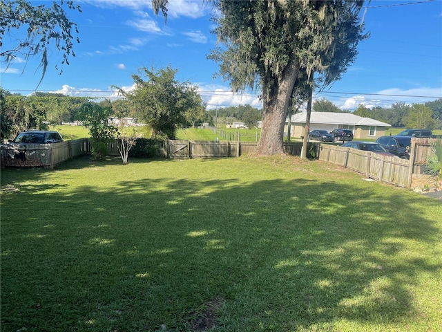view of yard with a fenced backyard
