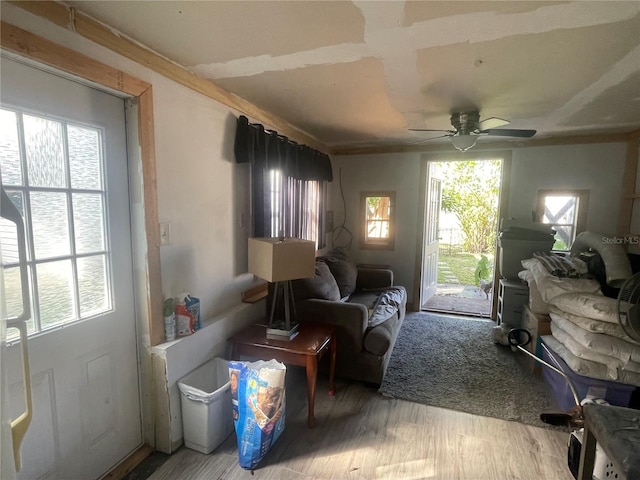 living area with ceiling fan and wood finished floors