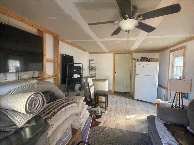 living room with crown molding, ceiling fan, and light hardwood / wood-style flooring