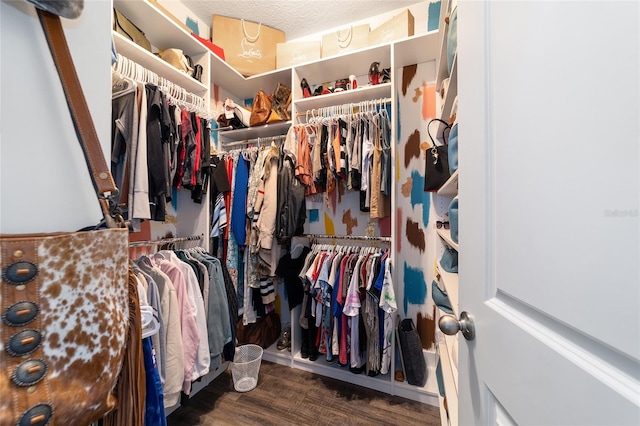 spacious closet featuring dark hardwood / wood-style flooring