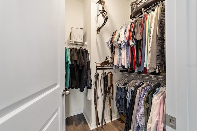 spacious closet with dark wood-type flooring