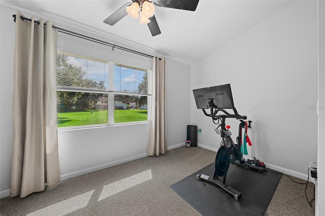 exercise area featuring carpet flooring, ceiling fan, and lofted ceiling