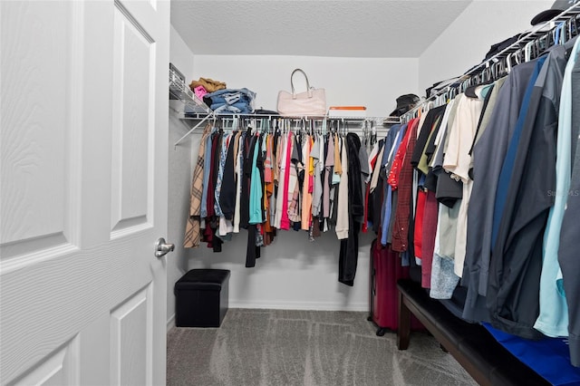 spacious closet featuring carpet