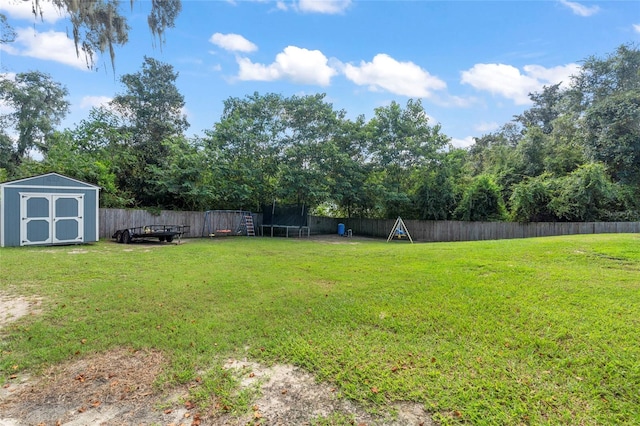 view of yard featuring a storage shed