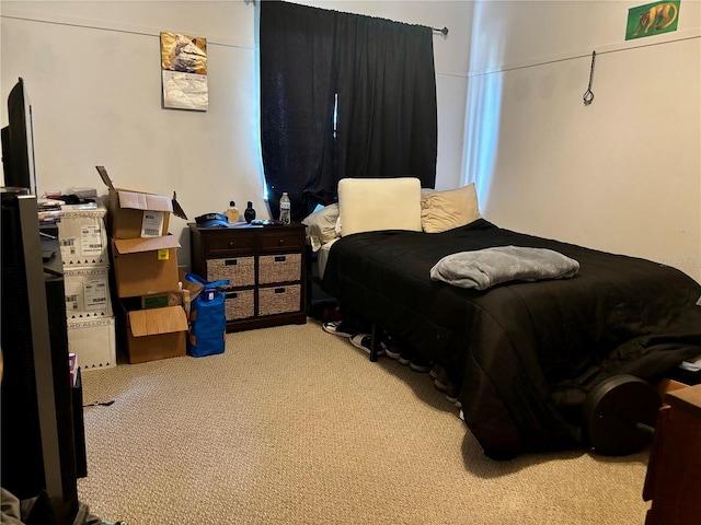 bedroom with carpet flooring