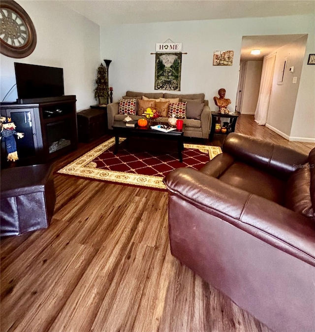 living room featuring wood-type flooring