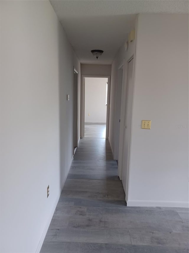 corridor with dark wood-type flooring