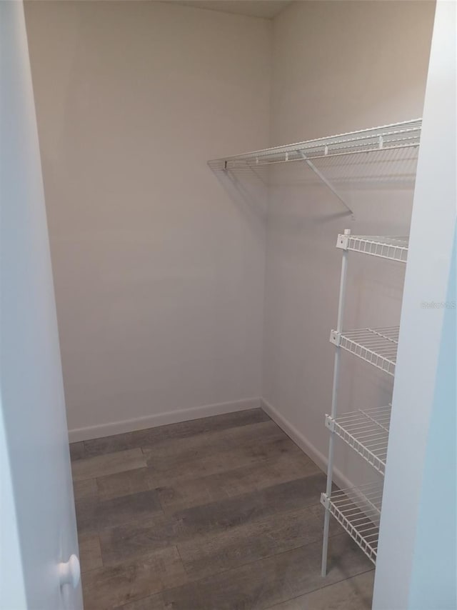 walk in closet featuring dark hardwood / wood-style flooring