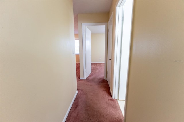 hallway with light carpet