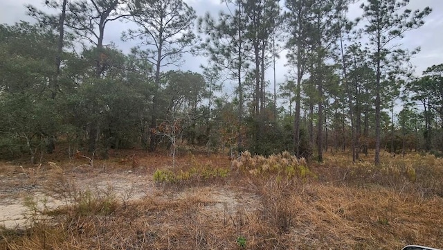 SW Mandrake Dr, Dunnellon FL, 34431 land for sale