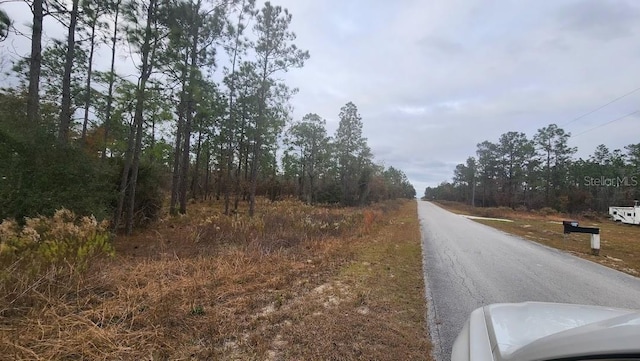 Listing photo 3 for SW Mandrake Dr, Dunnellon FL 34431